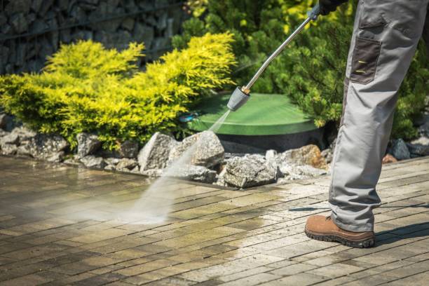 Best Fence Cleaning  in Highland Beach, FL